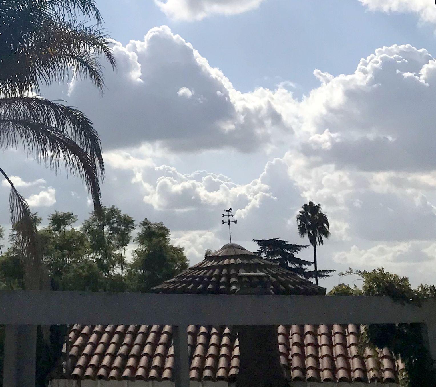 Where have all the weather vanes gone?